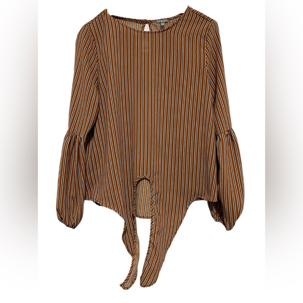 Charotte Russe Brown Stripe Puffed LS Blouse